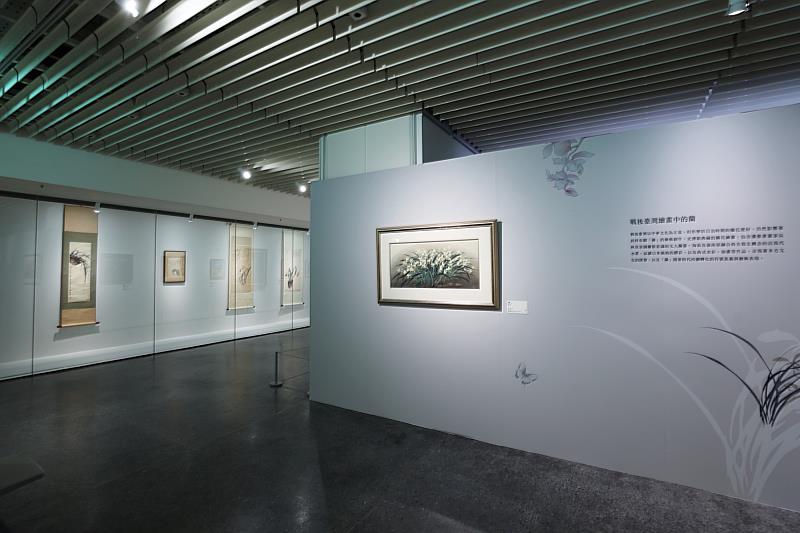 「臺灣蘭花百姿-臺北展」展出戰後臺灣繪畫中的蘭,圖中為史博館館藏臺灣前輩藝術家陳進作品《春蘭》。