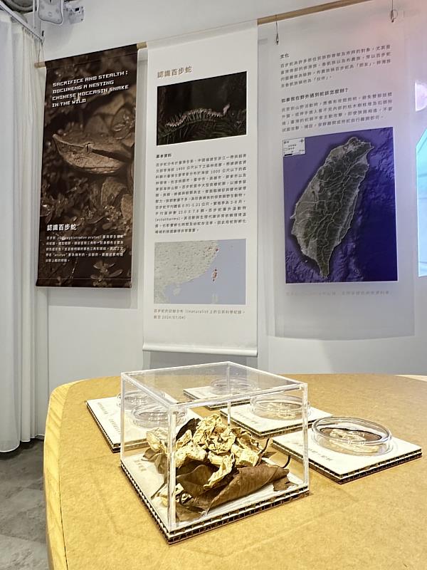 八仙山國家森林遊樂區遊客中心「百步蛇野外護卵孵化紀錄」特展,除有百步蛇相關資料外,現場同時有百步蛇卵、蛇蛻等珍貴展示,千萬不要錯過