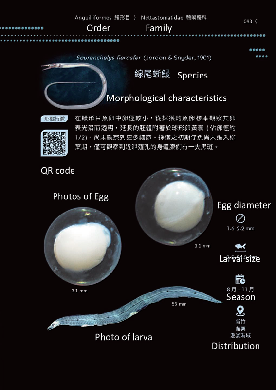 圖鑑中有關物種層級描述之圖示(第83頁)