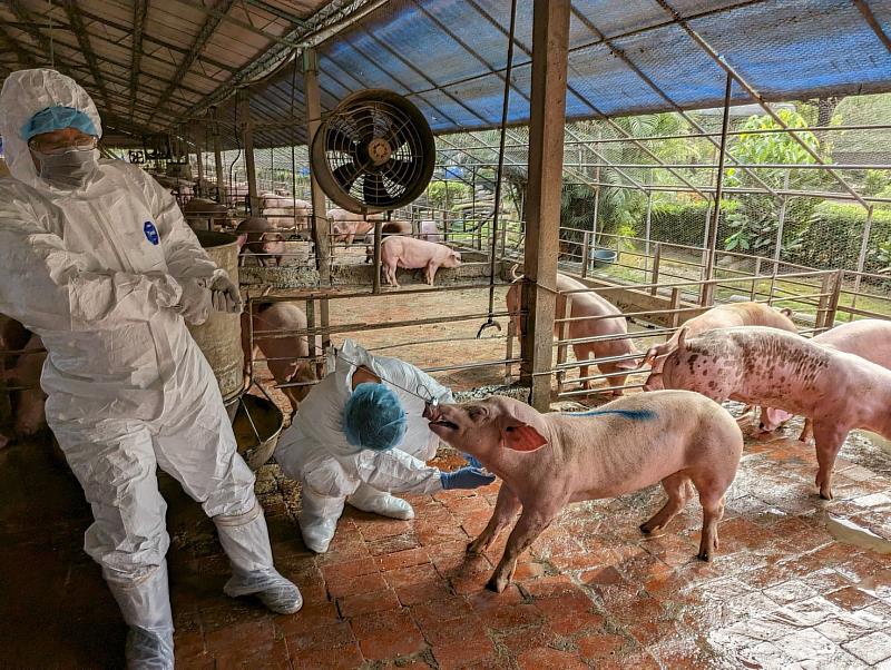 防範災後疫病 嘉畜所全面啟動畜禽水產防疫應變