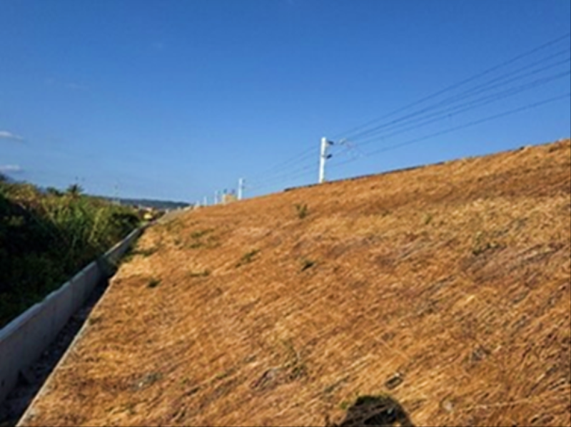 臺東縣導入稻草蓆覆蓋工法 營建工程兼顧防塵與永續