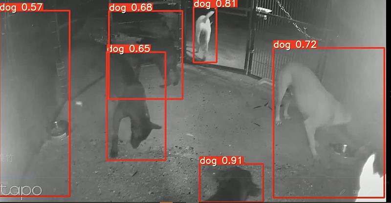 嘉義縣導入AI智慧捕犬系統 義竹試辦一週成效達八成