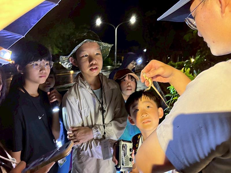 嘉博館《來嘉找蛙生態營》圓滿落幕 學童走進自然成為小小行動家