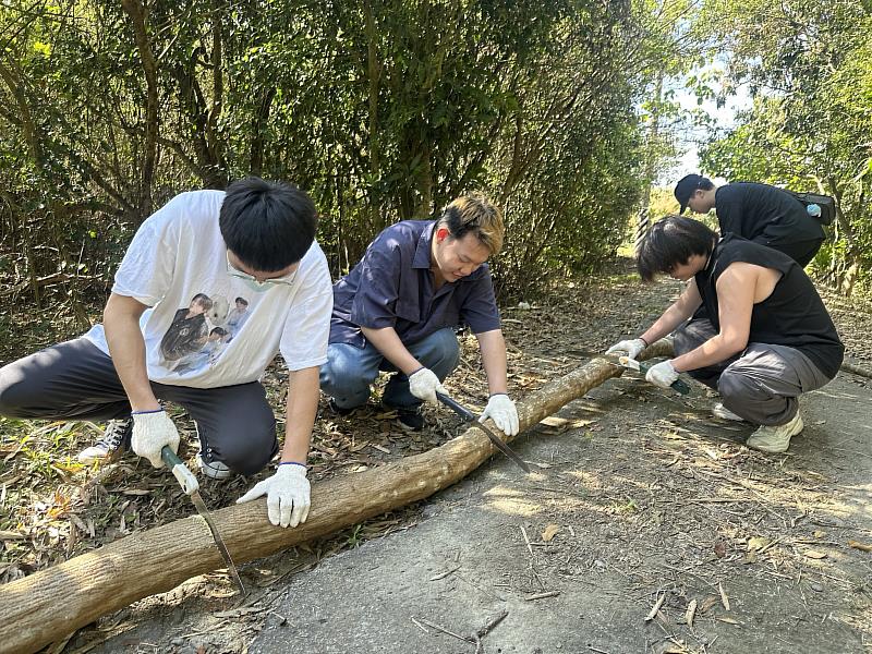 南臺科大「左曜山生USR計畫」團隊與左鎮在地協力單位合作，於梅雨季前搶先採集生長過剩的銀合歡，為暑期工作坊準備豐富素材，回應地方環境議題。