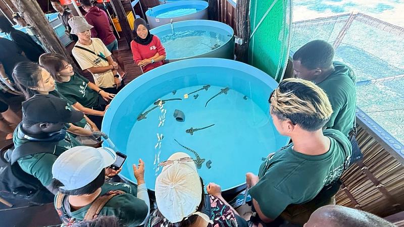拜訪Raja Ampat Research and Conservation Center-ReShark Initiative鯊魚復育計畫