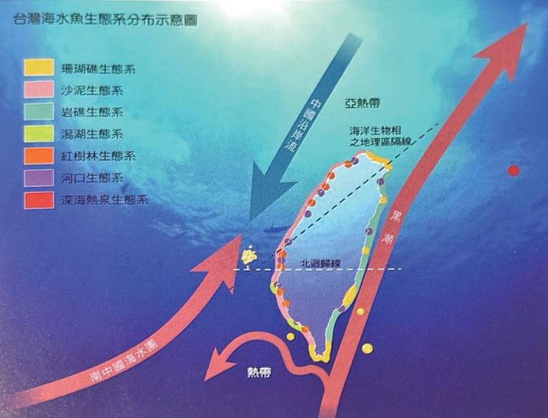 臺灣地理位置優越，位於東海、南海及菲律賓海三個大海洋生態系交會處，具「生態交會帶」(ecotone)效應，魚類及海洋生物多樣性豐富。