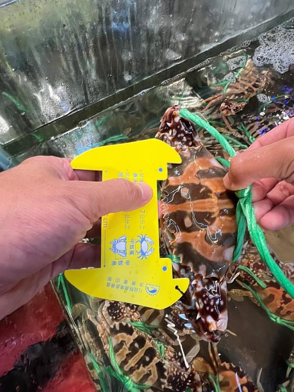 在魚市場進行查核作業