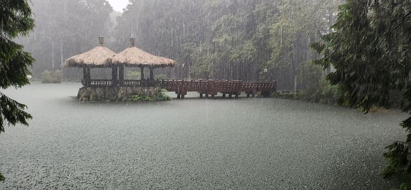 受低壓豪大雨影響,林業保育署嘉義分署原訂8月2日的2025阿里山森遊季「夏,星空電影院」活動延期舉辦