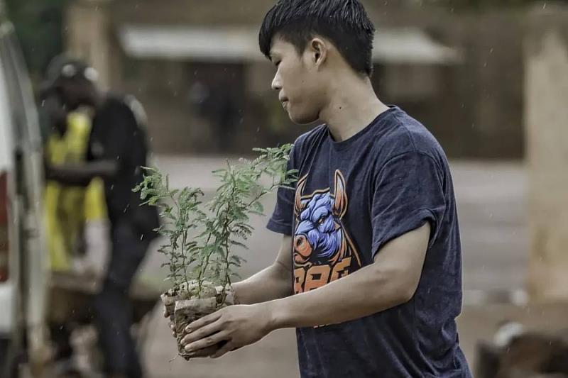 用雙手捧著幼小的樹苗，種下未來希望的大樹。