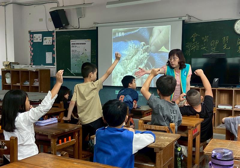 國小學生們踴躍舉手搶答-由觀察猜想貓頭鷹的遭遇(照片/中國科大提供)