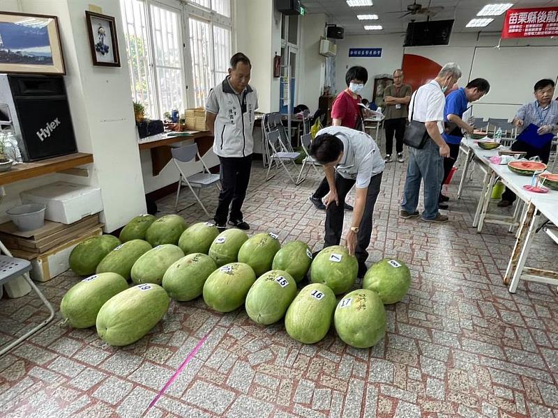 西瓜推廣與義賣
