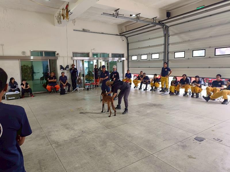 與成犬互動訓練的方法和技巧