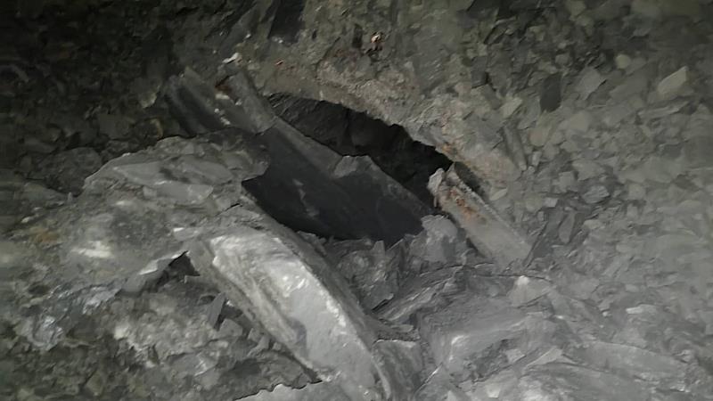山區土石鬆軟仍有新崩塌狀況，將視檢修情形另行公告開放臺灣一葉蘭保留區進入申請
