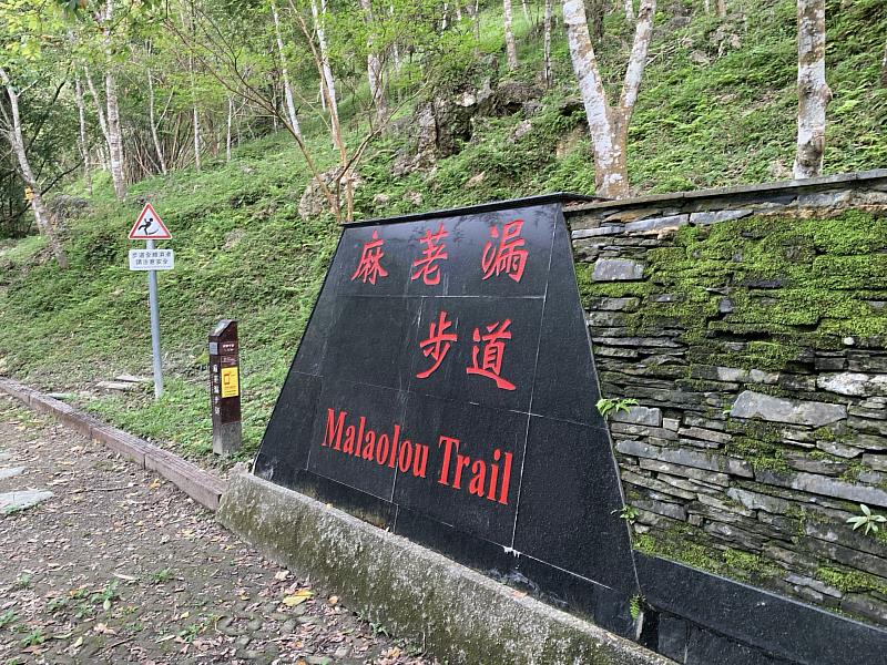 照片說明：其他森林育樂場域及林道亦於8月12日下午5時實施預警性封閉（圖為麻荖漏步道）