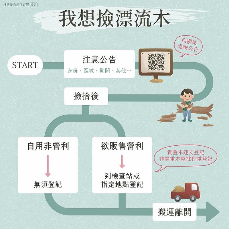 漂流木撿拾流程