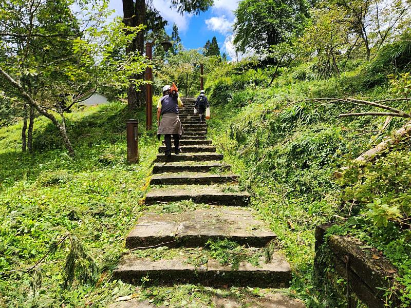 阿里山國家森林遊樂區經林業保育署嘉義分署動員人力積極整理，預計15日上午8時恢復開園