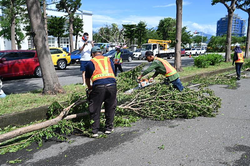 楊柳強風豪雨重創臺東農業 縣長饒慶鈴今勘災 呼籲中央支援協助農民 感謝齊心恢復市容