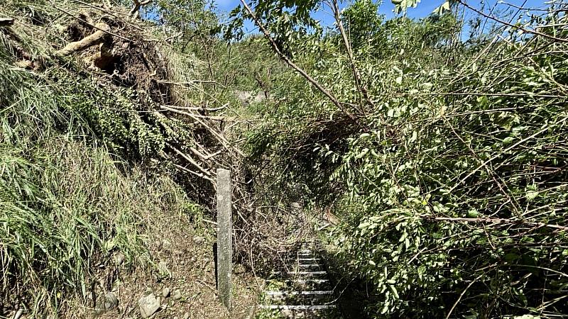 鯉魚山步道將持續進行倒木移除，開放日期另行公告
