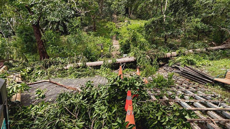 知本國家森林遊樂區好漢坡觀景臺風倒木四散