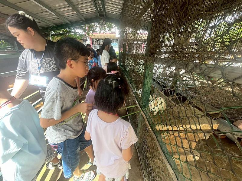 學童親自餵食小動物，觀察生態習性，體會人與自然和諧共生的價值。