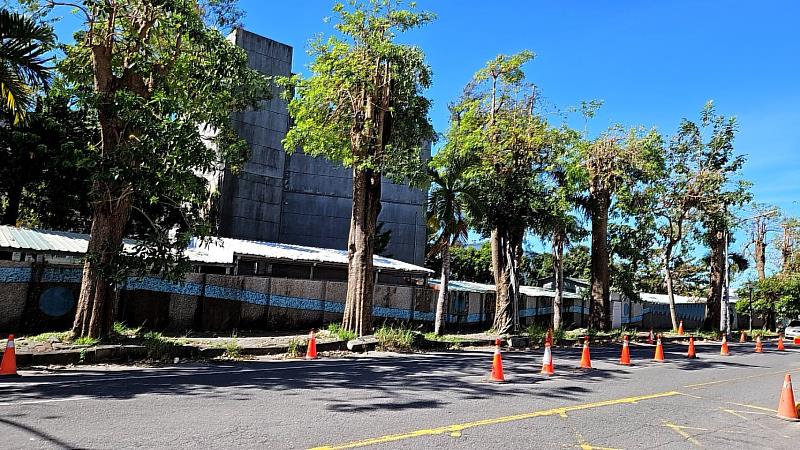 臺東縣政府推動臺東高中校園周邊暨行車安全道路改善 中華路一段黑板樹再利用 延續木材價值