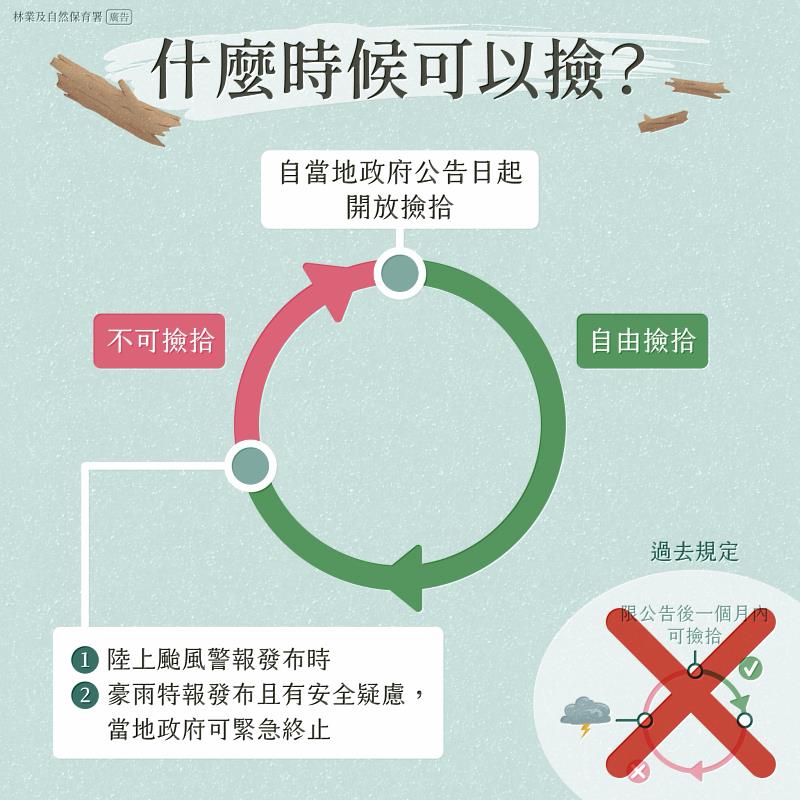 「漂流木什麼時候可以撿」說明圖卡
