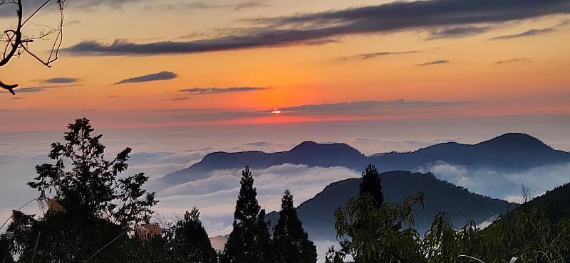活動期間也有機會觀賞國際知名的阿里山雲海