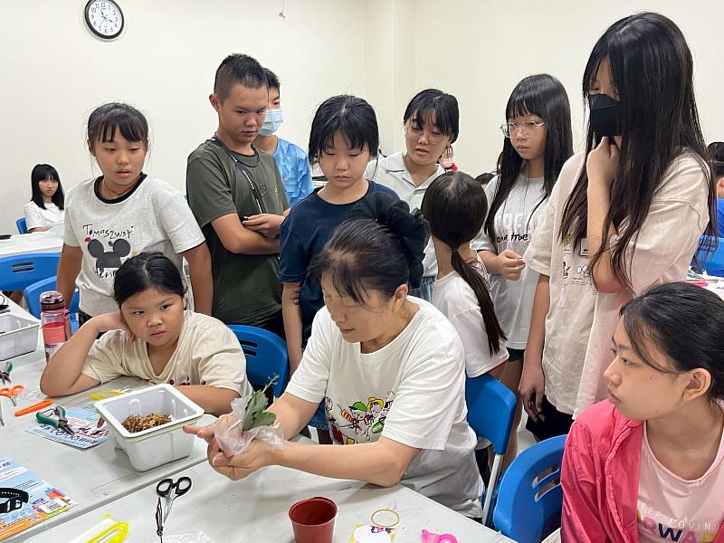劉秋萍老師教學水苔球DIY