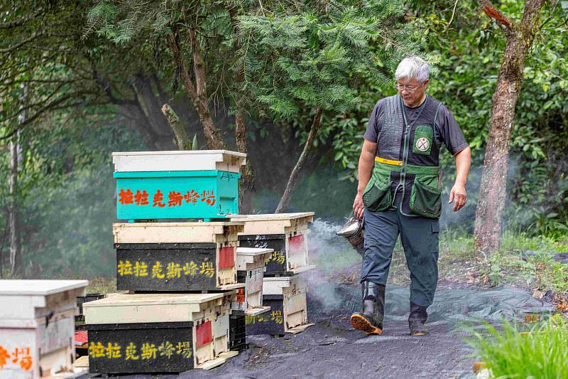 阿里山原住民農林業生產合作社汪志敏主席經營林下養蜂,將與民眾分享充滿森林清甜與香氣森林蜂產品