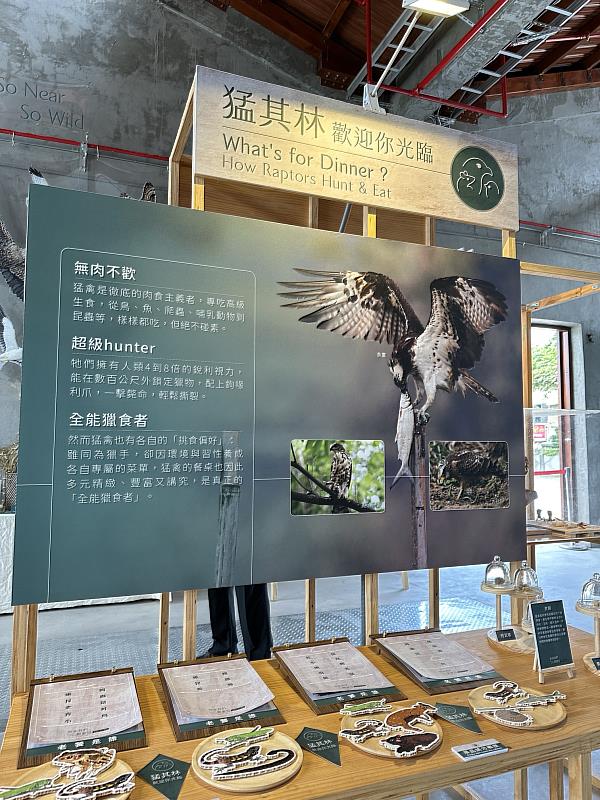 展覽以猛其林介紹猛禽無肉不歡的食性