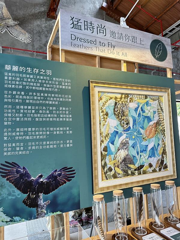 展覽中以猛時尚介紹猛禽身上的羽毛兼具識別求偶與保暖生存的功用