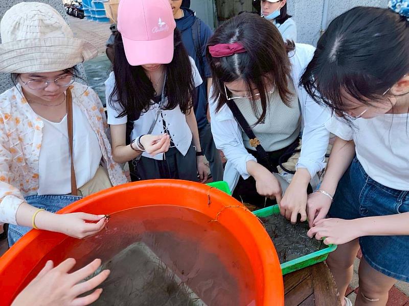 東華大學修課同學們進行海草分選之實務操作。（東華大學社會責任行動中心提供）