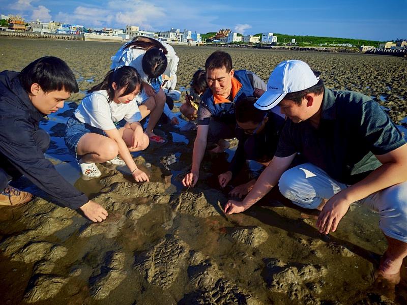 東華大學修課同學們進行淺灘種植海草實務操作體驗。(東華大學社會責任行動中心提供)