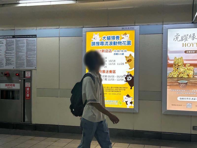 台灣摩菲爾創辦人謝卓燁贊助「流浪動物花園協會」 刊登犬貓領養訊息。（台灣摩菲爾提供）