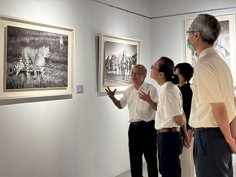 作品導覽
