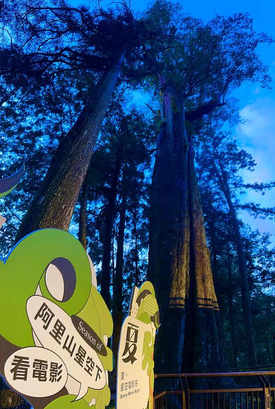 阿里山國家森林遊樂區近年結合自然環境與文創的季節性活動廣受民眾喜愛