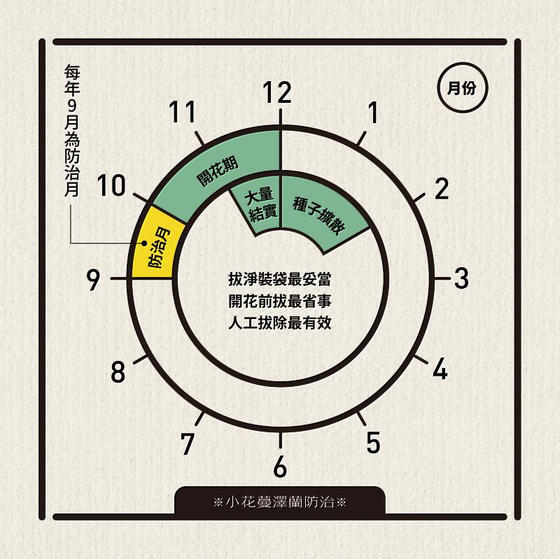小花蔓澤蘭防治月小技巧
