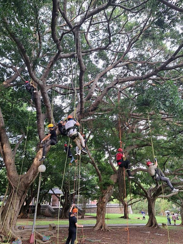 圖為攀樹體驗與樹冠生物學課程。透過戶外實作、工作坊等多元形式，深化永續教育實踐。