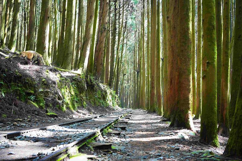 特富野古道