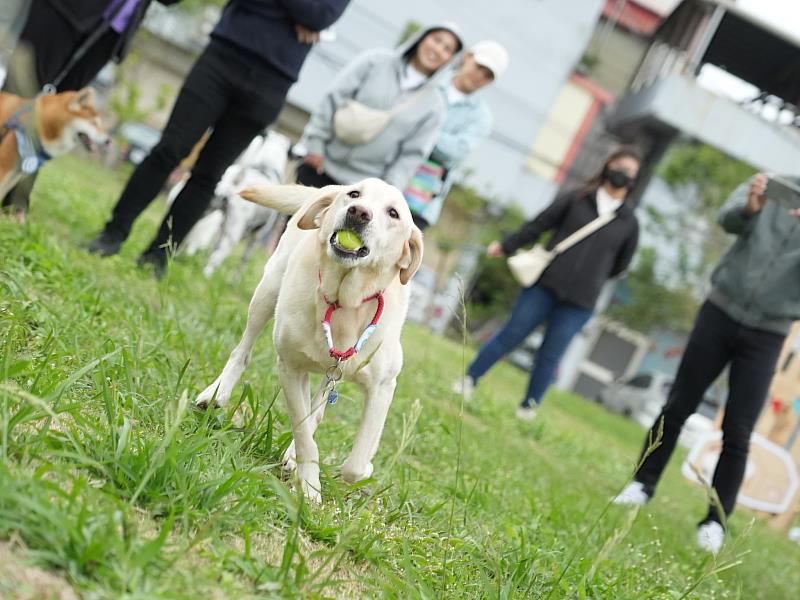 新竹市毛小孩運動會9/21北大公園登場(活動資料照)