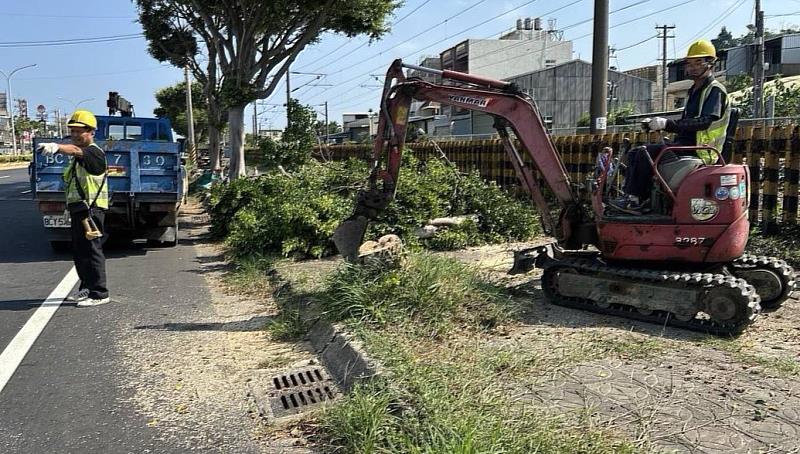 公管中心人員針對路樹修剪加固及危樹移除。