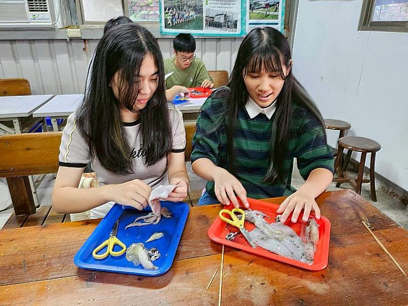 食魚教育激盪青年創意 基隆青年永續行動工作坊收穫滿滿