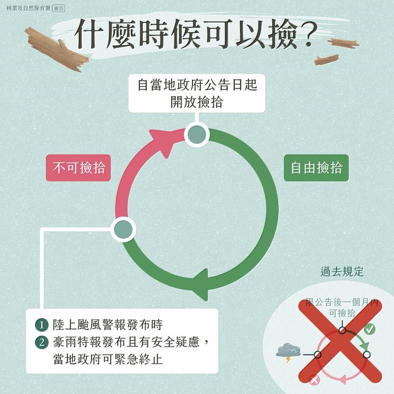 漂流木撿拾時間