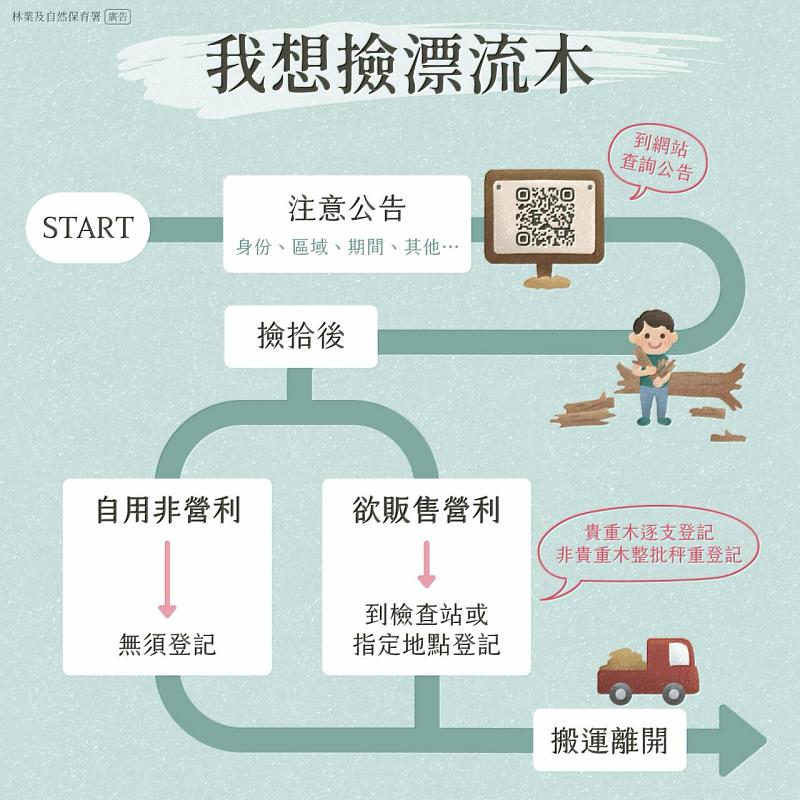 漂流木撿拾攻略