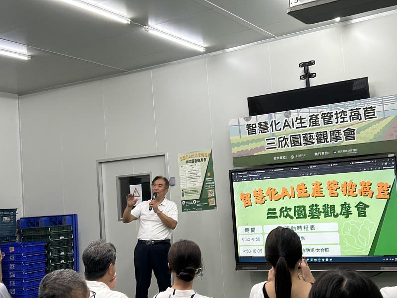 嘉義縣打造科技翻轉蔬菜產業，三欣園藝AI精準預測萵苣產量