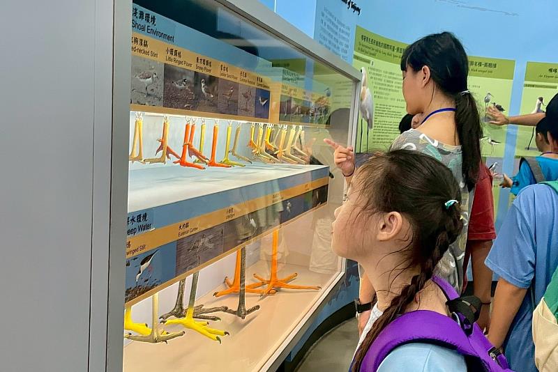 南大營隊課程中，孩子們專注參觀展覽，認識環境保育與永續發展