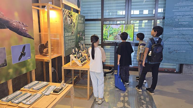 學生們在比賽後參觀「原來我們那麼近-猛禽生活主題展」