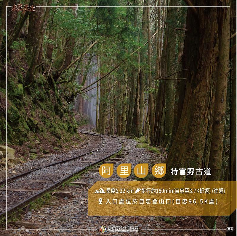 親子秋遊好去處！嘉義縣「步入嘉境-阿里山篇」精選4條親子步道
