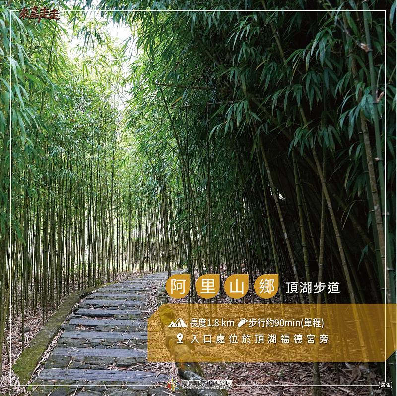 親子秋遊好去處！嘉義縣「步入嘉境-阿里山篇」精選4條親子步道