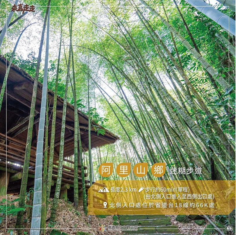 親子秋遊好去處！嘉義縣「步入嘉境-阿里山篇」精選4條親子步道